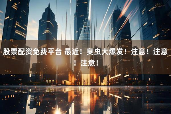 股票配资免费平台 最近！臭虫大爆发！注意！注意！注意！