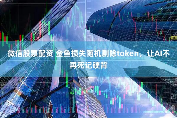 微信股票配资 金鱼损失随机剔除token，让AI不再死记硬背