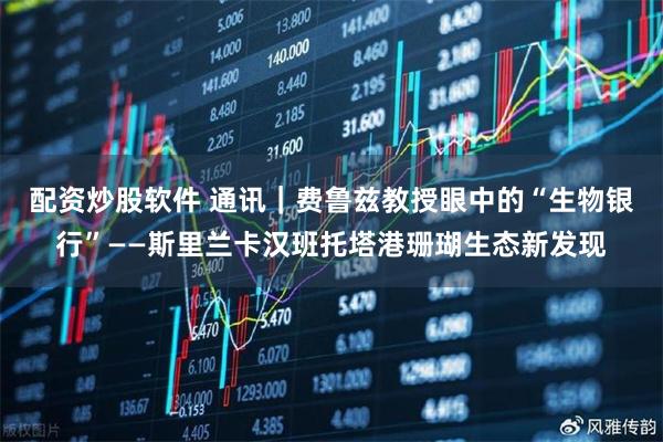 配资炒股软件 通讯｜费鲁兹教授眼中的“生物银行”——斯里兰卡汉班托塔港珊瑚生态新发现